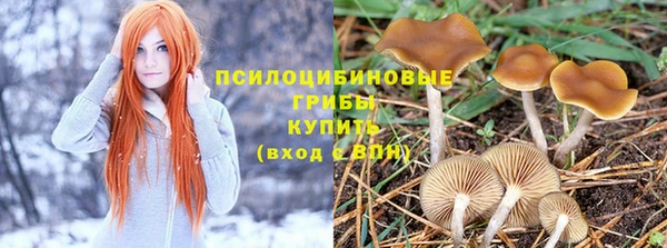 прущие грибы Лагань