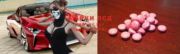 прущие грибы Лагань