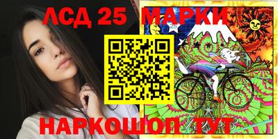 сатива Апшеронск