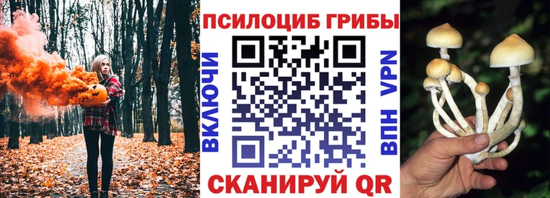 Галлюциногенные грибы ЛСД  Малгобек 