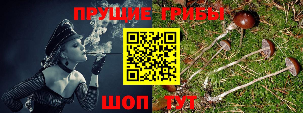 Псилоцибиновые грибы ЛСД Малгобек