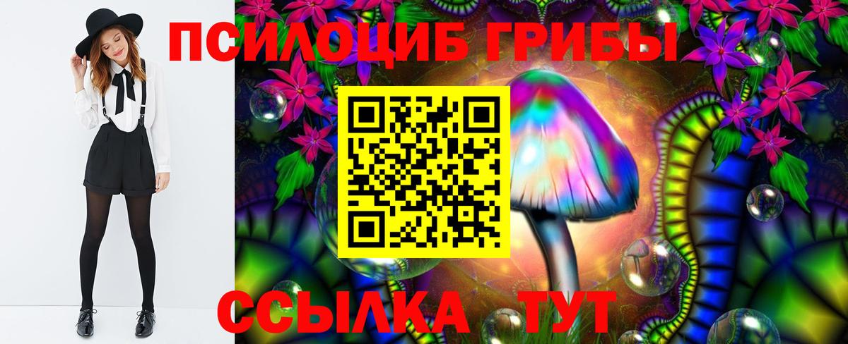 Галлюциногенные грибы GOLDEN TEACHER  Вход с VPN  Малгобек  Галлюциногенные грибы Magic Shrooms 