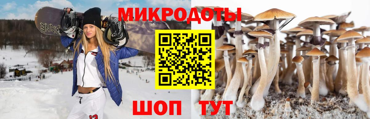 Псилоцибиновые грибы прущие грибы  Малгобек 